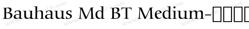 Bauhaus Md BT Medium字体转换